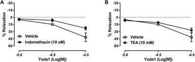 Piezo1 activation induces relaxation of the pudendal artery and corpus cavernosum